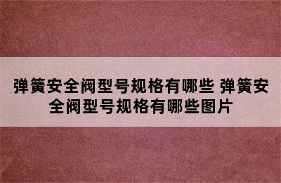 弹簧安全阀型号规格有哪些 弹簧安全阀型号规格有哪些图片